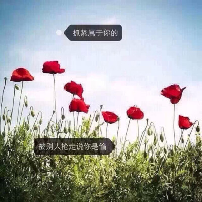 文字 备忘录截图 书中精美句集