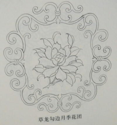 草龙勾边月季花团