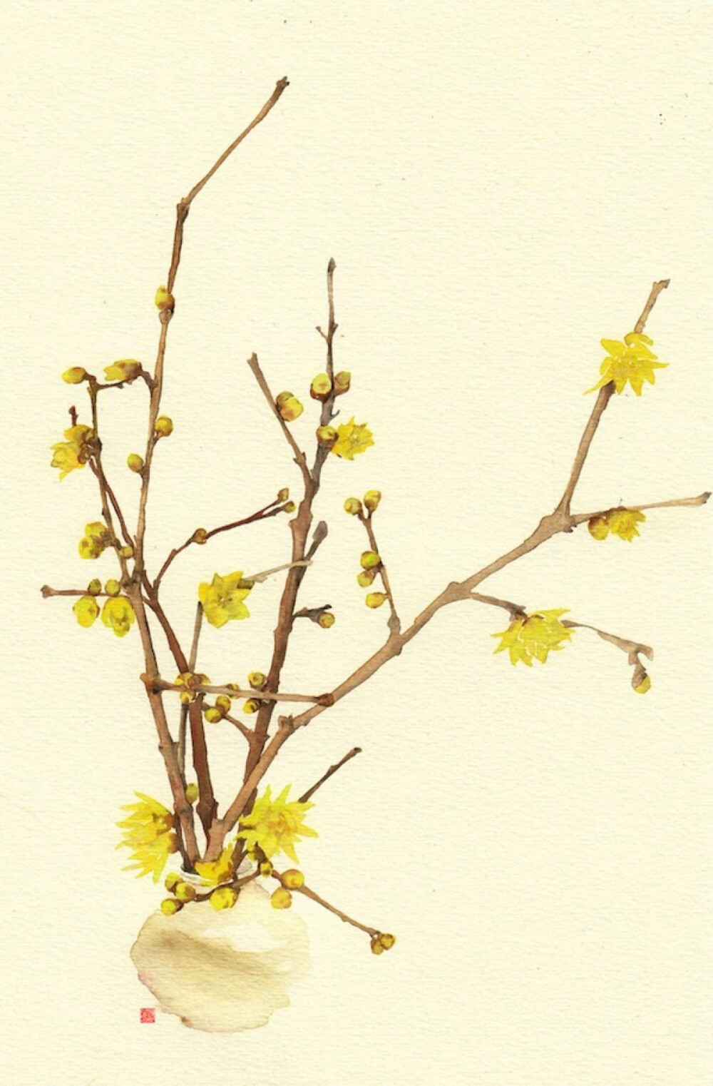 色彩ლ水彩(❁´◡`❁)*✲ﾟ*清新、花卉、雅、手绘、插画