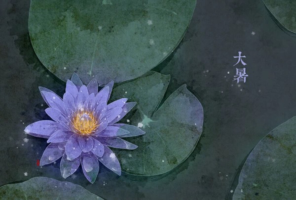 色彩ლ水彩(❁´◡`❁)*✲ﾟ*清新 花绘 雅 手绘 插画 节气