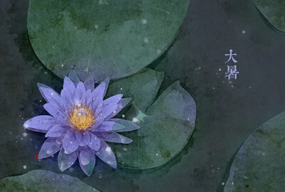 色彩ლ水彩(❁´◡`❁)*✲ﾟ*清新 花绘 雅 手绘 插画 节气