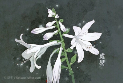 色彩ლ水彩(❁´◡`❁)*✲ﾟ*清新 花绘 雅 手绘 插画 节气