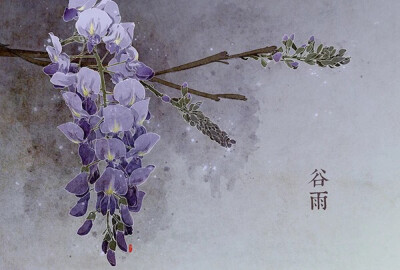 色彩ლ水彩(❁´◡`❁)*✲ﾟ*清新 花绘 雅 手绘 插画 节气