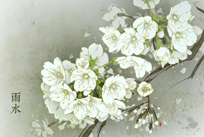 色彩ლ水彩(❁´◡`❁)*✲ﾟ*清新 花绘 雅 手绘 插画 节气