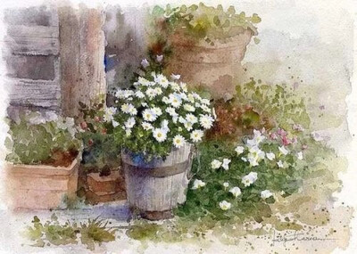 色彩ლ水彩(❁´◡`❁)*✲ﾟ*清新 花绘 雅 手绘 插画