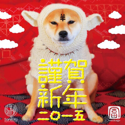 Xi新年新快乐