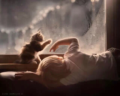 俄罗斯女摄影师 Elena Shumilova