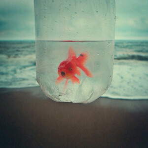 那么模糊那么朦胧