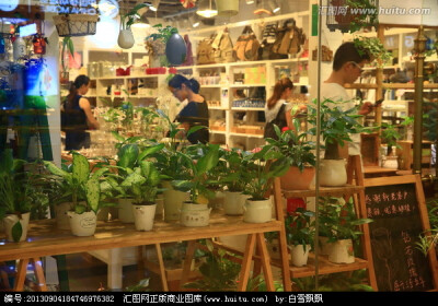 原木风格 室内花店