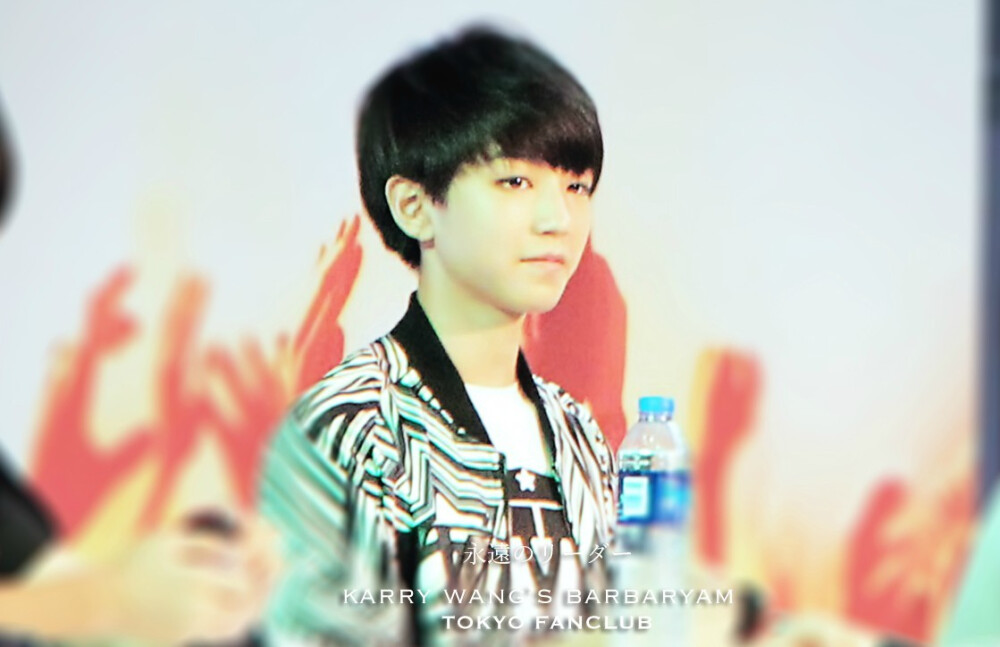 TFBOYS王俊凯 王俊凯 140809广州安捷动漫展签售会 cr.logo