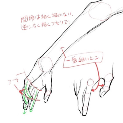 绘画教程✍(՞ټ՞✌)手、手掌、手关节