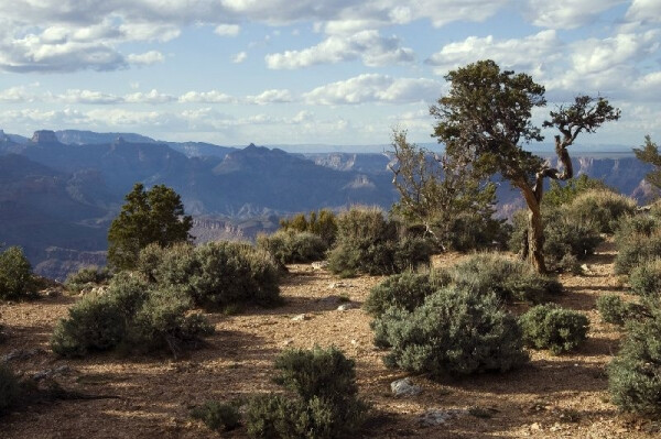 航拍下的大峡谷 精彩大峡谷线路【http://cn.toursforfun.com/grand-canyon-tours-skywalk/】途风为你呈现