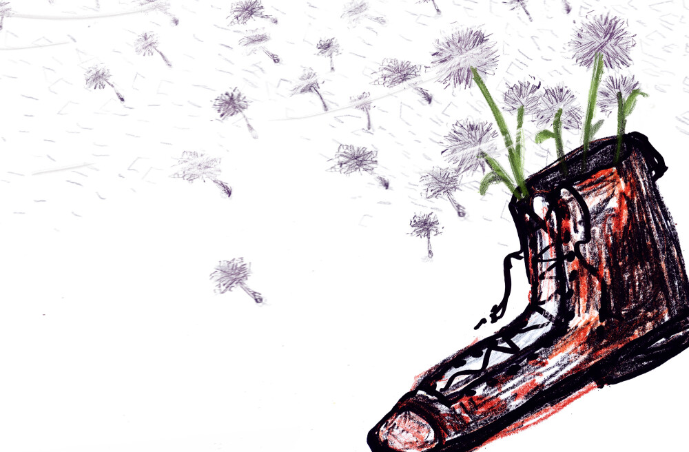 A story of a shoe -6