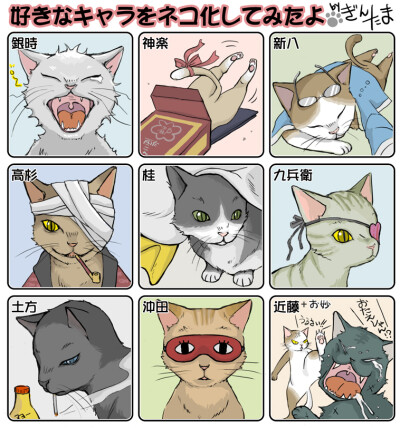 萌猫们