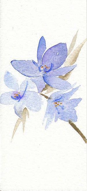 恋这种淡淡的感觉