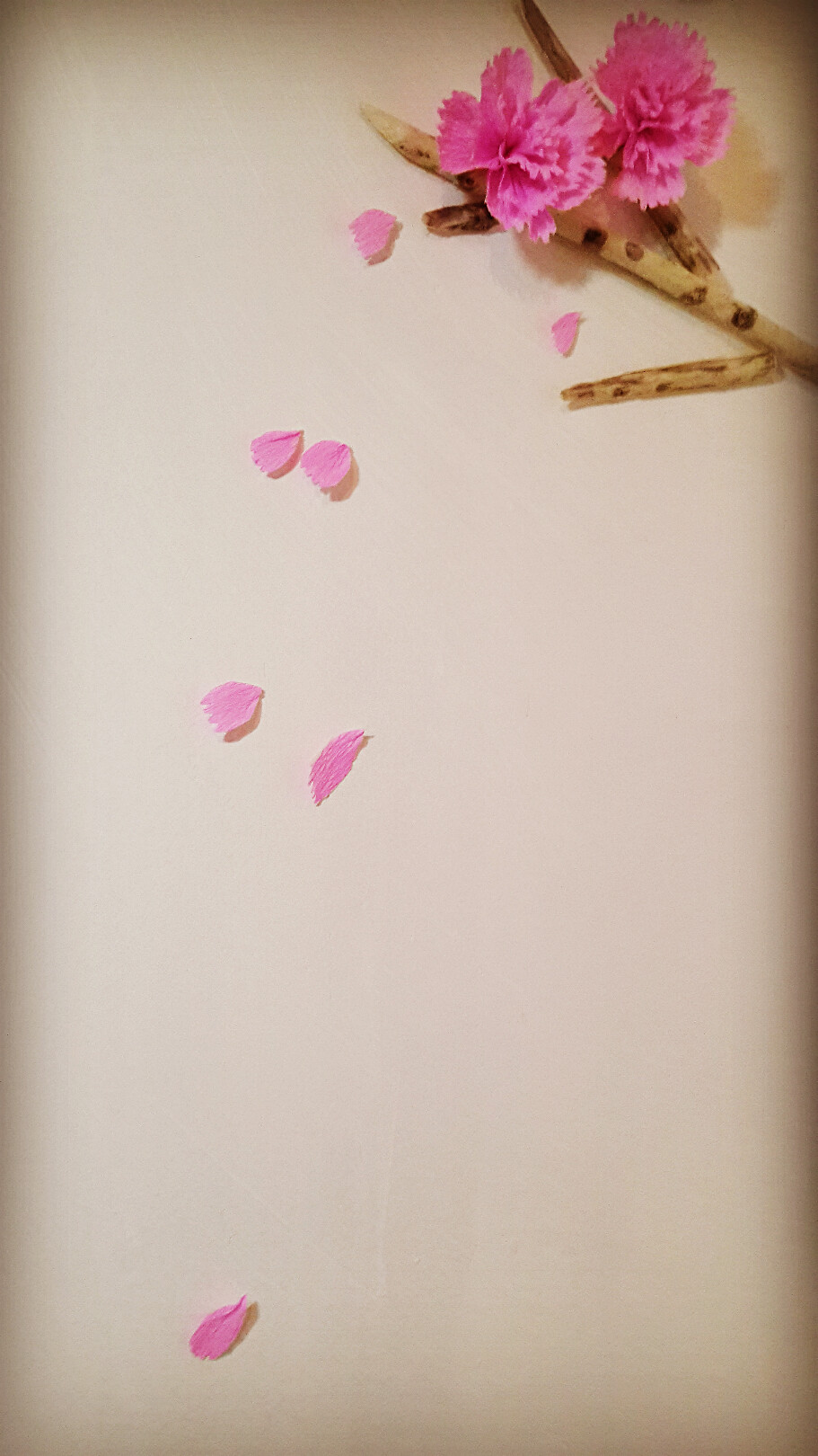 屋外寒风凛冽，这里春意盎然。。