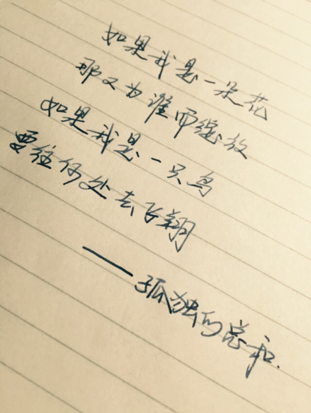 手写句子 歌词 原创 励志 何以笙箫默 孤独的总和【devilyn】