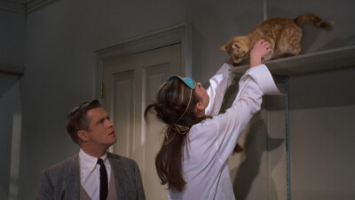 蒂凡尼的早餐Breakfast at Tiffany's