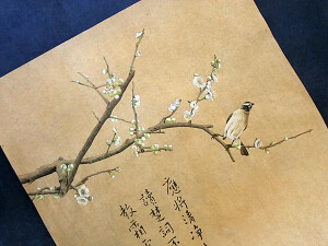 国画工笔 —— 绿萼梅 白头鹎  【应将清净结心期，静待梅花读楚辞】~图案设计归画小兔所有