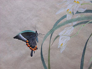 国画工笔——   临俞致贞 兰花 碧凤蝶[练习画了N幅]