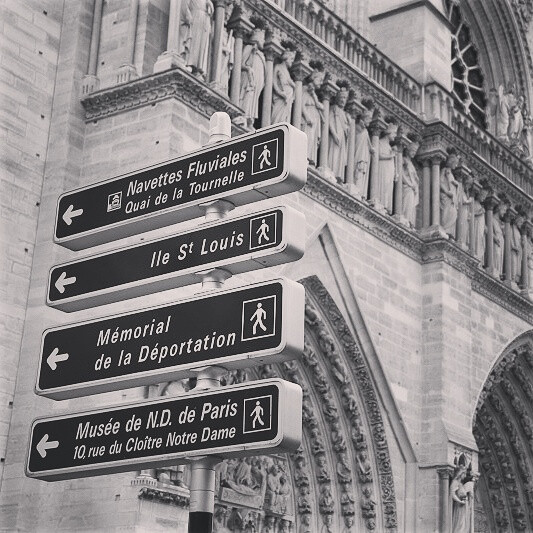 我在巴黎圣母院的路标旁
