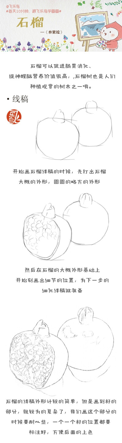 飞乐鸟彩铅