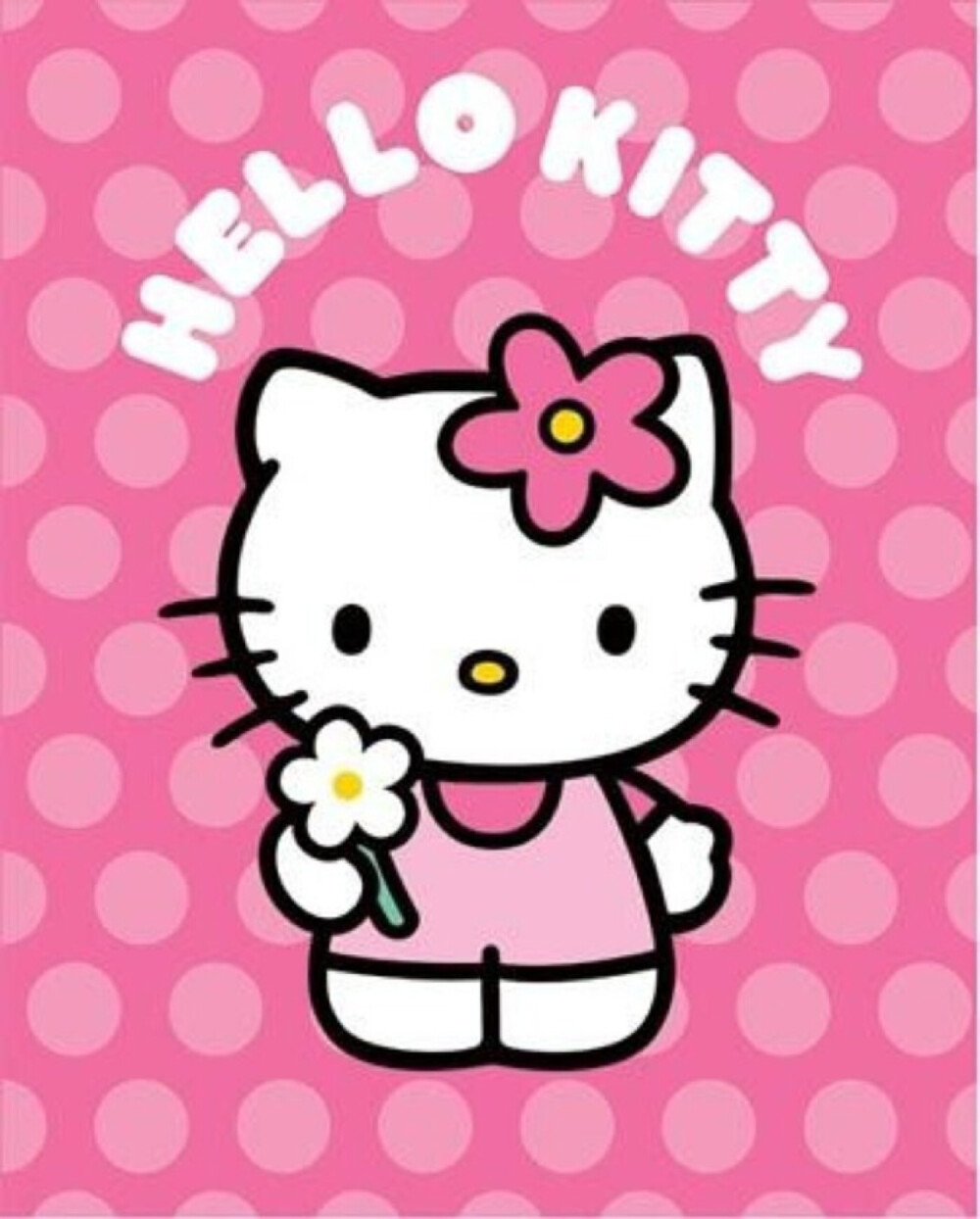 hellokitty 可爱猫～