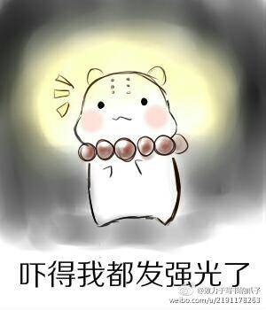 仓鼠表情