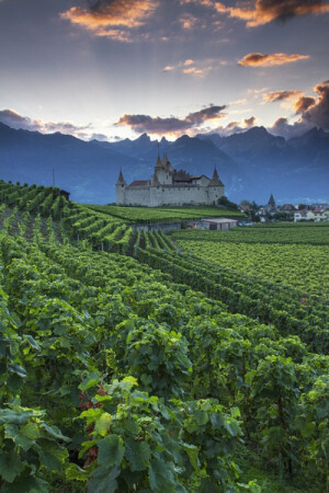 Chateau D’Aigle, Switzerland (by Patrick Bellon)。瑞士艾格勒城堡，是位于沃州艾格勒的一座城堡，伫立在日内瓦湖畔著名葡萄产地。艾格勒一向是葡萄及葡萄酒盛产地，这里的城堡也拥有与其他城堡不同的周边景观。艾格勒城堡可能是在11世纪建造的，由萨瓦家族兴建，与多座位于日内瓦湖区的城堡一样，也是呈四方形状。埃格勒城堡在建成后的数百年中多次扩建，数易其主。1804年，城堡成为埃格勒的公共财产，并作为州立监狱使用至1976年。此后，城堡被改建为葡萄酒博物馆，向游人开放。