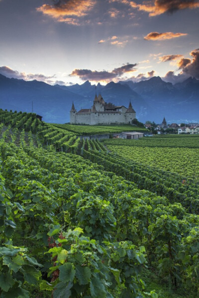 Chateau D’Aigle, Switzerland (by Patrick Bellon)。瑞士艾格勒城堡，是位于沃州艾格勒的一座城堡，伫立在日内瓦湖畔著名葡萄产地。艾格勒一向是葡萄及葡萄酒盛产地，这里的城堡也拥有与其他城堡不同的周边景观。…