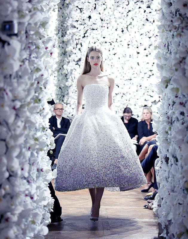 Christian Dior couture dress