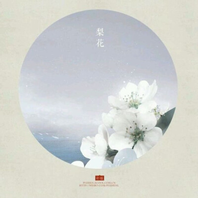 【花醉薇·花语集】两色红绿，云光流转，旧人时听花语吟/梨花。（作者：朴缜）