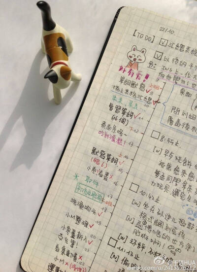 时间轴