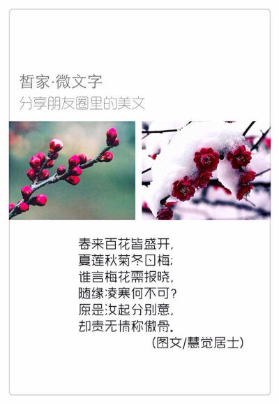 春来百花皆盛开， 夏莲秋菊冬日梅； 谁言梅花需报晓， 随缘凌寒何不可？ 原是汝起分别意， 却责无情称傲骨。