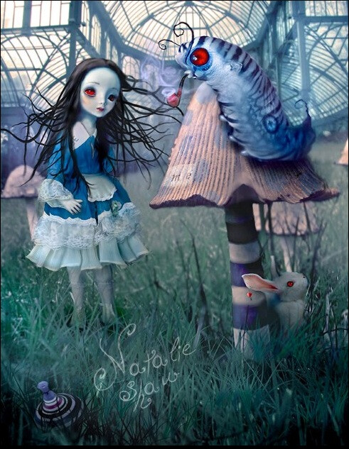 natalie shau