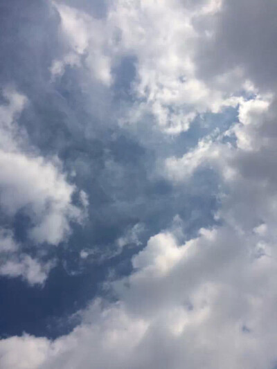 Fengxian shanghai 大一课后食堂路上拍