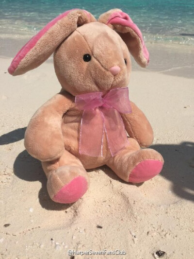 harper's toy