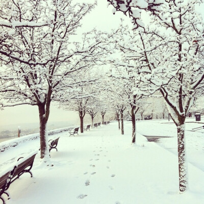 That's the only reason to love the snow