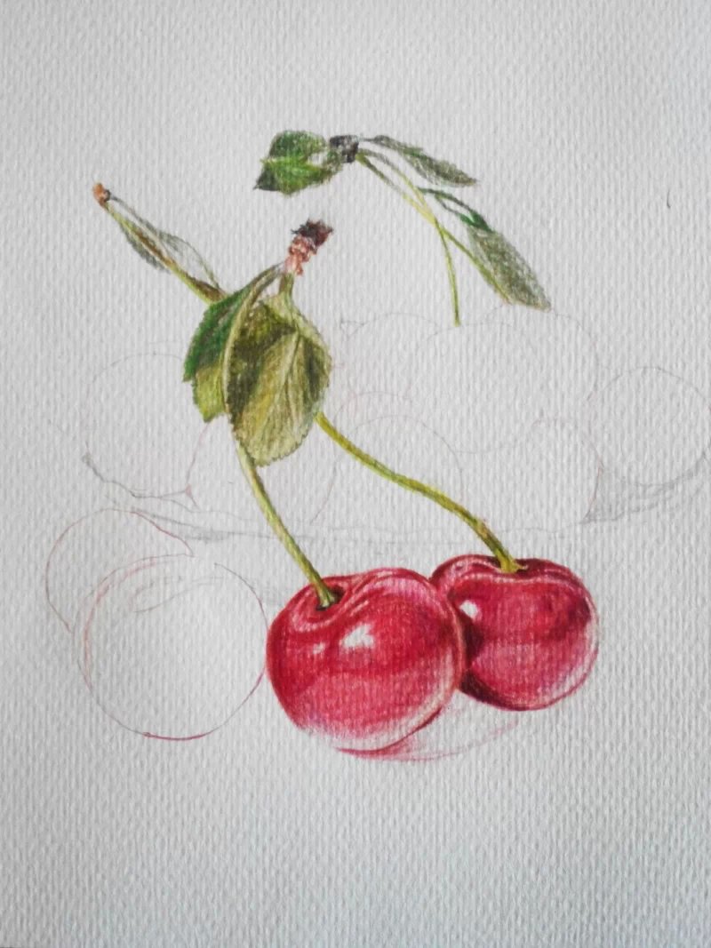 手绘 彩铅 樱桃 色铅笔1