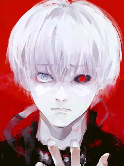 东京喰种 东京食尸鬼 金木