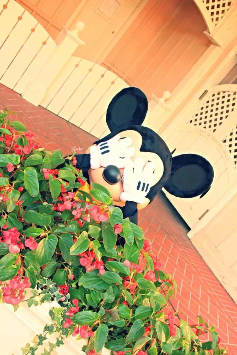 mickey