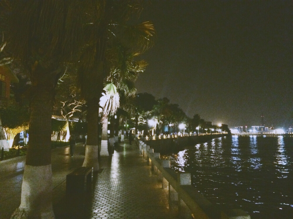 鼓浪屿。夜景。