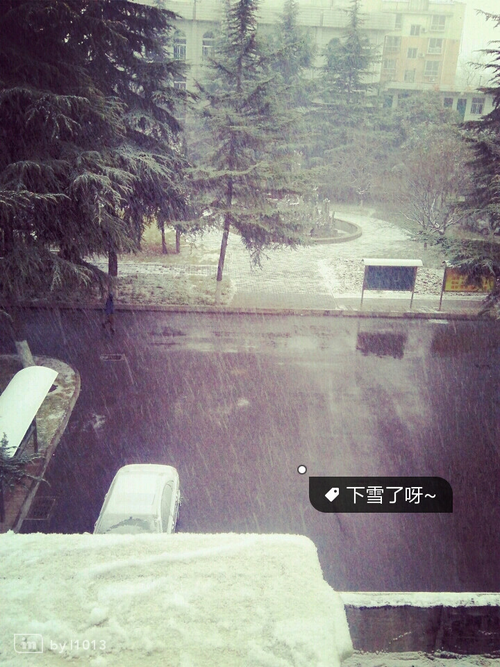 我住的城市从不下雪 记忆却堆满冷的感觉。❤