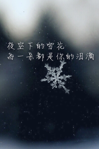 风景.文字.感悟.唯美.歌词.十二月的奇迹.wallpaper.