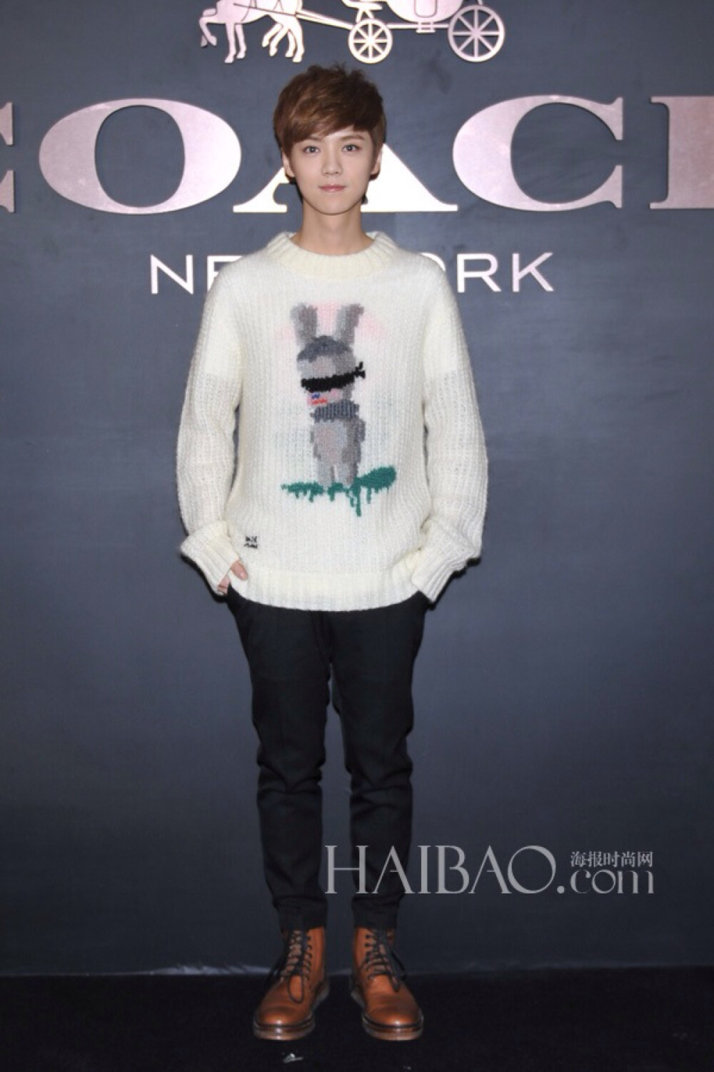 鹿晗演绎的蔻驰 (COACH) 2015春夏系列白色卡通图案印花毛衣