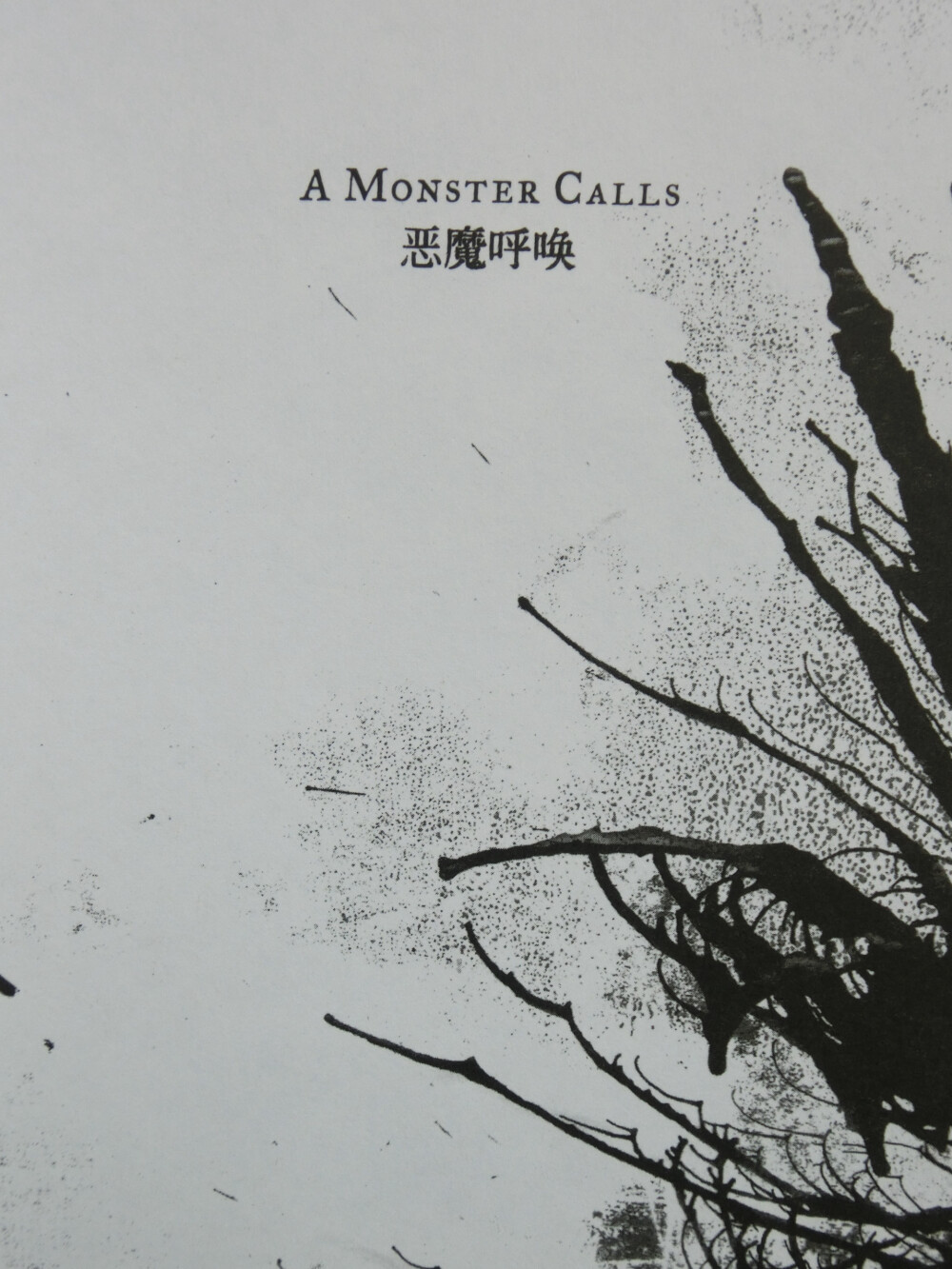 A Monster Calls恶魔呼唤 派崔·克奈斯