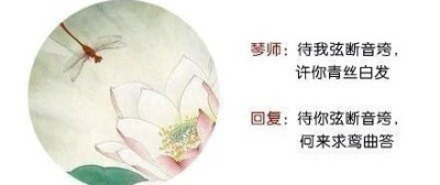 【花醉薇】最美麗的謊言，凄美的回復