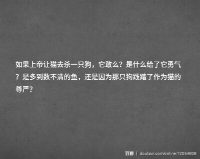 一朵玫瑰会有多少问题？ 一只猫会有多少问题？ 一个人会有多少问题？ 每一天，地球上每个角落的问题加起来又有多少呢？