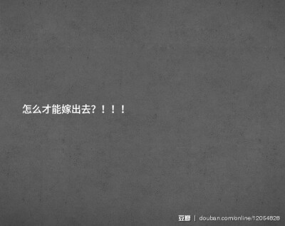 一朵玫瑰会有多少问题？ 一只猫会有多少问题？ 一个人会有多少问题？ 每一天，地球上每个角落的问题加起来又有多少呢？