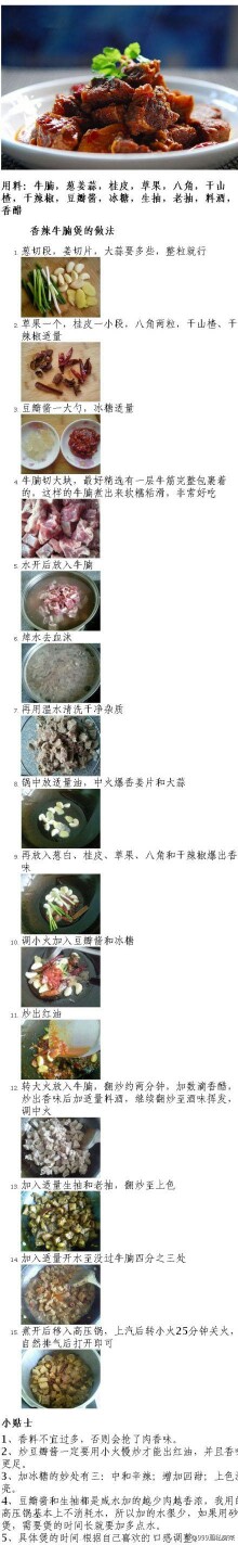 《美食-门面菜》【9种牛腩做法】多样的吃法让你吃出牛肉的美味[馋嘴]